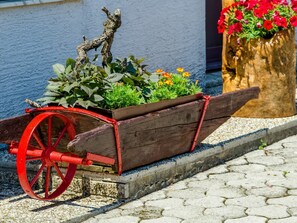 Blume, Wasser, Rad, Pflanze, Holz, Kraftfahrzeug, Fahrzeug, Blumentopf, Strassenbelag