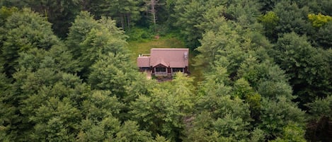Evergreen Aerial View