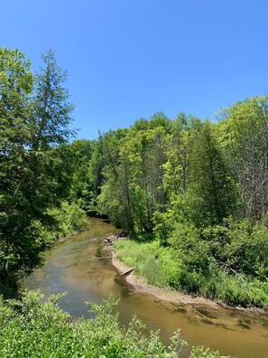 The best views on the Betsie River!