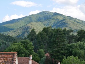 Les  Albères , son point culminant Pic Néoulous vue des terrasses de la  maison.