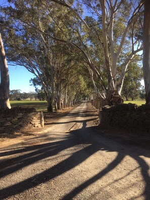 Front Driveway