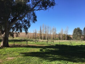 View from house