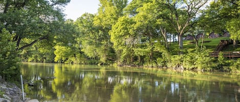 The banks of the Guadalupe River at the home