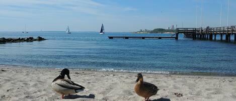 Spiaggia