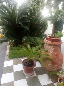 Picture of villa
