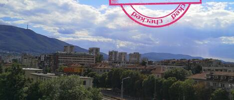 View from one of the balconies