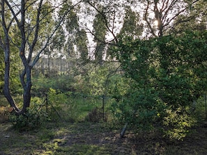 Boendeområde