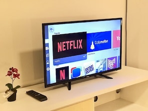 Fernseher