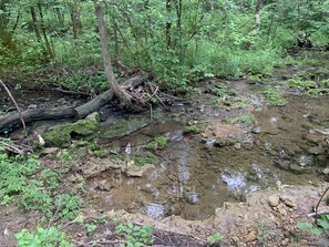 Terrain de l’hébergement 