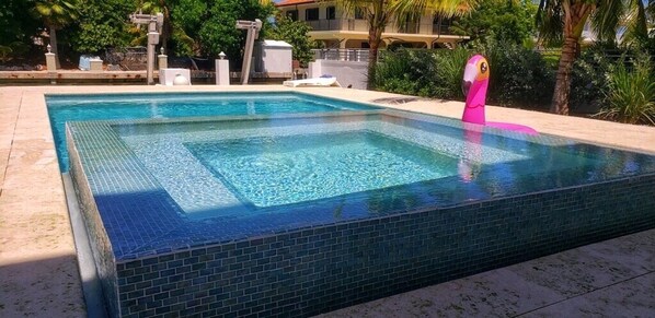 Pool/Hot Tub Overlooking The Canal. Well hello Mr. Flamingo!