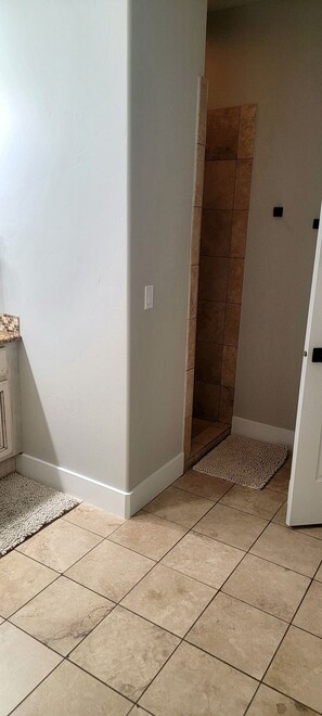 Main Floor Master walk in shower, 