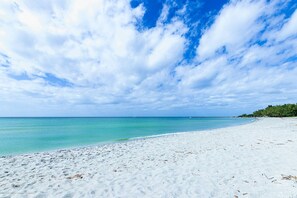 Incredible Venice beach awaits you!!  Just steps from the condo to experience swimming in warm Gulf waters.