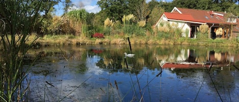 Overnatningsstedets område