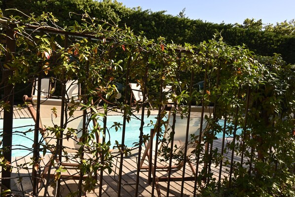 vue de la piscine de la cour 