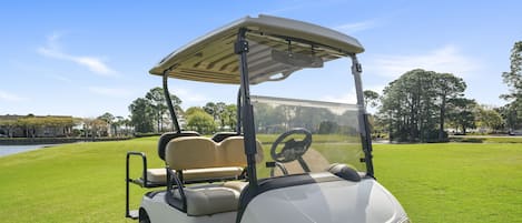 4- seater Golf Cart