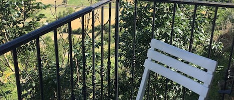 balcon vue sur le  Larzac 