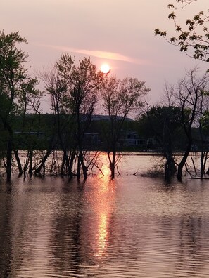 Oklassificerad bild, 4 av 25, knapp