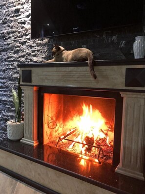 Fireplace