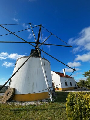 Esterni