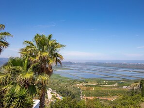 Vegetation, Tree, Sky, Palm Tree, Sea, Tropics, Daytime, Ocean, Arecales, Coast