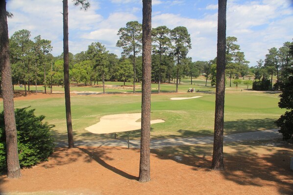 Golf front view from living room looking across 2 fairways to Cradle & Clubhouse