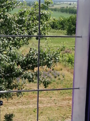 Interiör