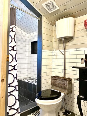 Standing shower and toilet. 