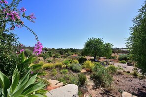 Jardines del alojamiento