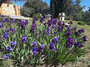 Jardines del alojamiento