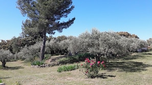 Jardines del alojamiento