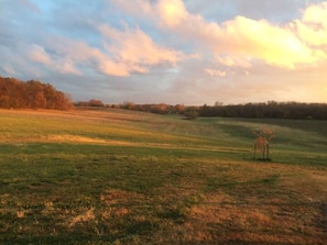 View from front yard