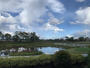 View from lanai