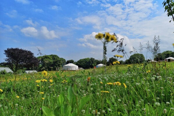 Carved Yurt is one of 12 luxurious, spacious Mongolian-inspired Yurts nestled in 62 acres of historic Estate