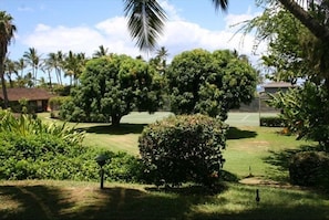 View from lanai