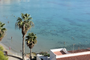 Beach/ocean view