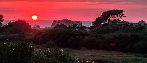 Vue du bout du jardin