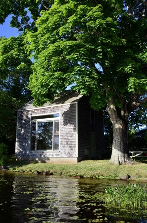 Picture taken from the dock.  The lake is great for swimming, kayaking & fishing