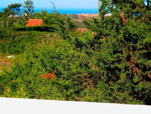 Dachterrasse- Blick