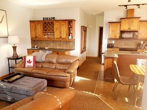 LR with leather, fireplace, TV, large windows, bar area. 2nd level with views