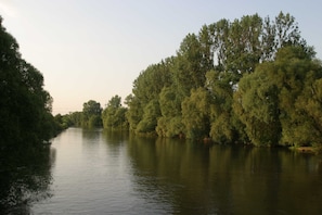 Divers