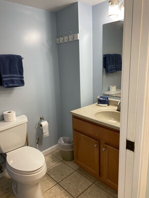 Master bathroom 