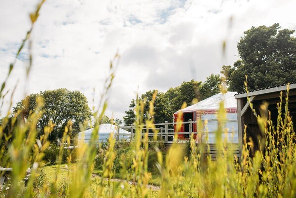 Field Maple is one of 12 luxurious, spacious Mongolian-inspired Yurts nestled in 62 acres of historic Estate