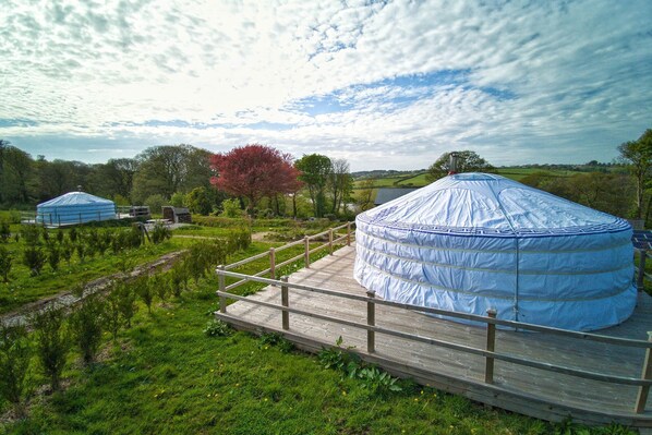 Damaris is one of 12 luxurious, spacious Mongolian-inspired Yurts nestled in 62 acres of historic Estate
