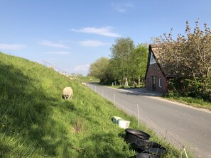 Boendeområde