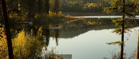 Terrain de l’hébergement 