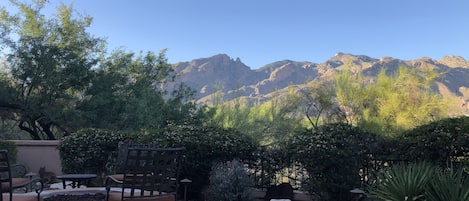This could be "your" backyard enjoying expansive VIEW of Tucson mountains
