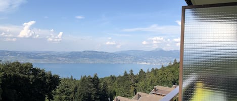 Lake view from the balcony. 