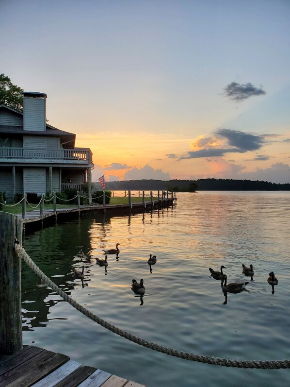 Welcome to our quiet and peaceful corner of Lake Hamilton.