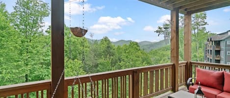 Deck Area with Porch Swing/Furniture