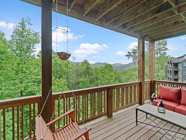 Deck Area with Porch Swing/Furniture